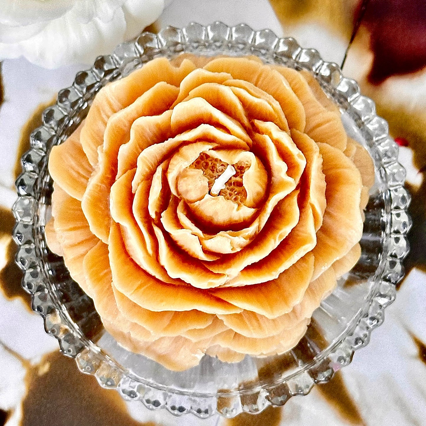 Petal Harmony — Duo-flower Gift Set · Amber Dusk