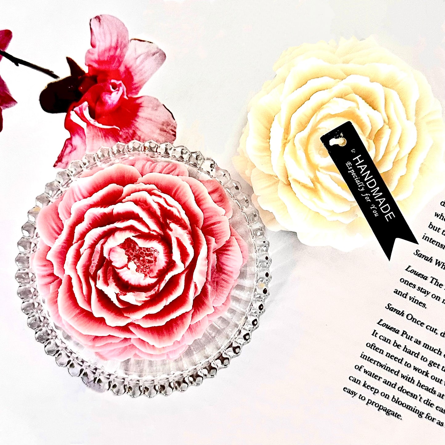 Petal Harmony — Duo-flower Gift Set · Blush Dawn