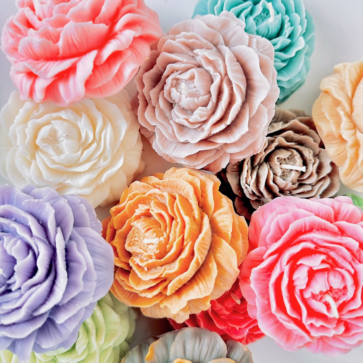 Flower Wax Art — Single & Duo Blooms