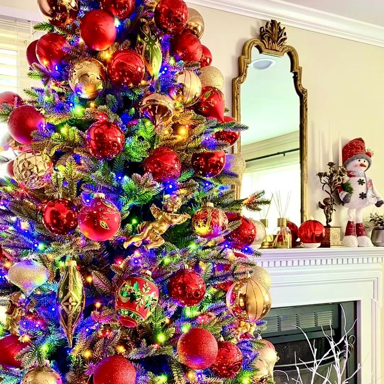 The Holiday Collection — Crafted for Warmth & Wonder